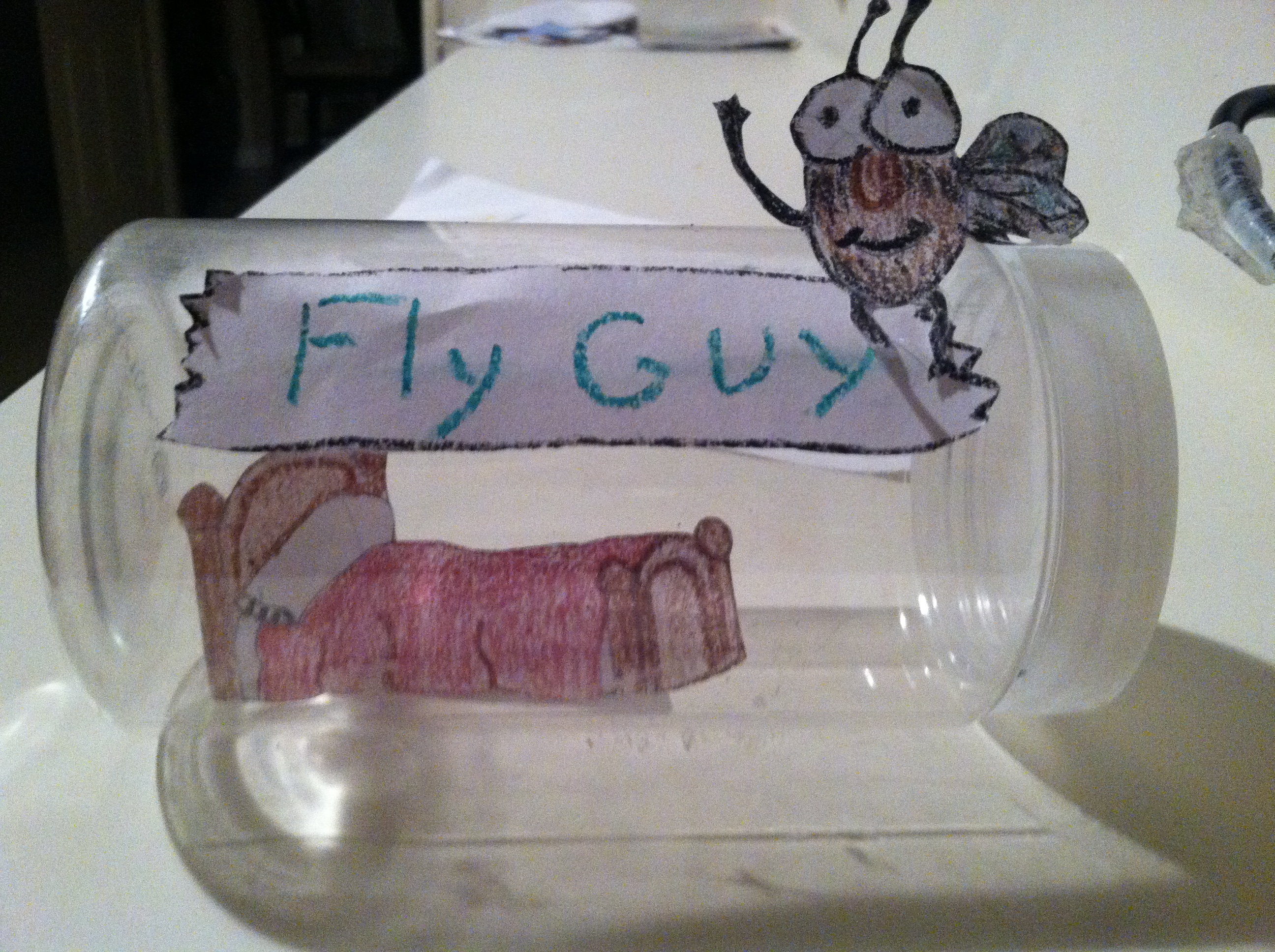 Close-up of the Fly Guy jar
