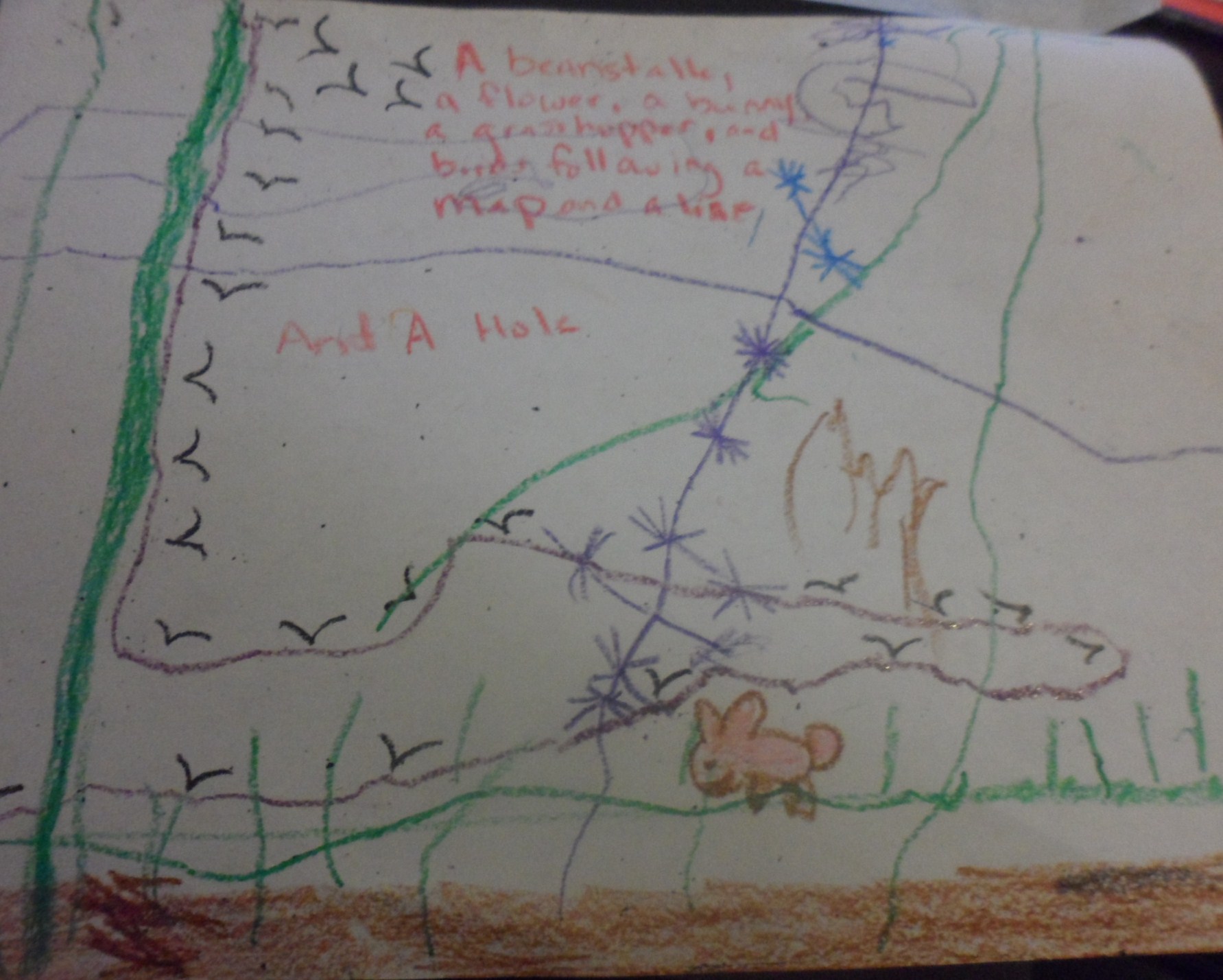 "A beanstalk, a flower, a bunny, a grasshopper, and birds following a map and a line, and a hole."