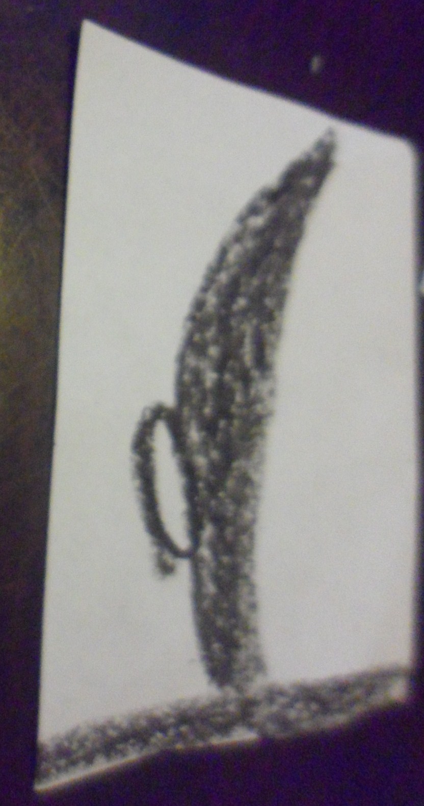 This is supposed to be a sword.  It wasn't in the book or in his drawing but he wanted it to be one of the pictures.