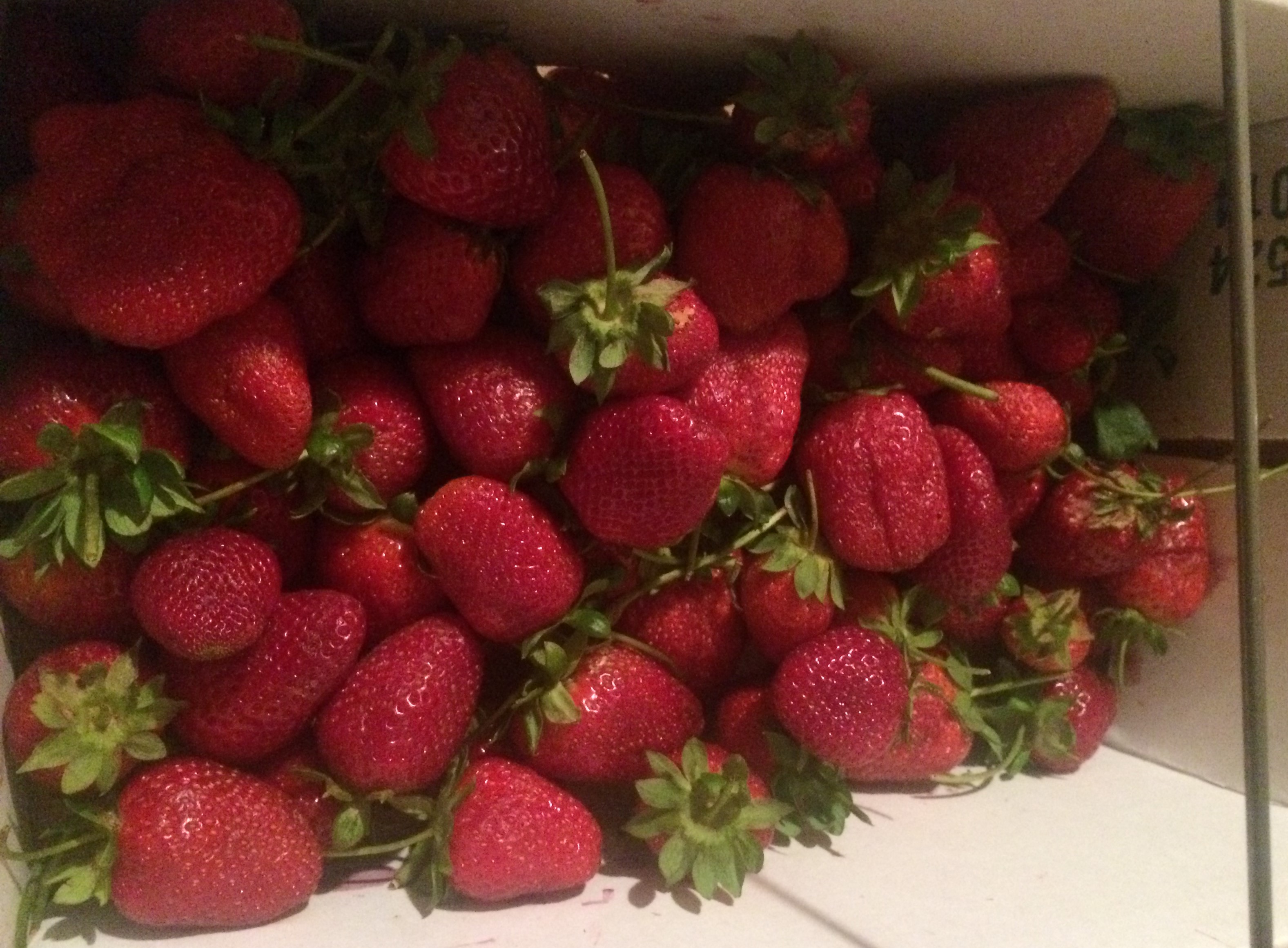 These are our strawberries.